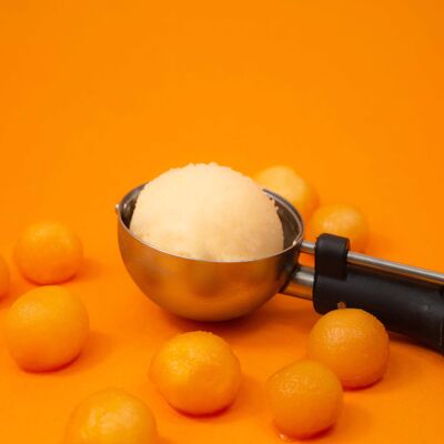 Sorbet Melon - 2,5L