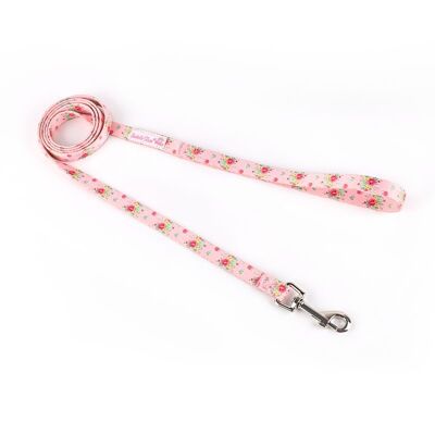 Laisse pour animaux Abby taille M Isabelle Rose