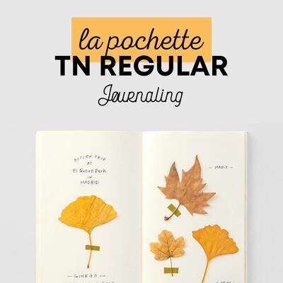 Traveler's Notebook - Pochette Découverte (regular)