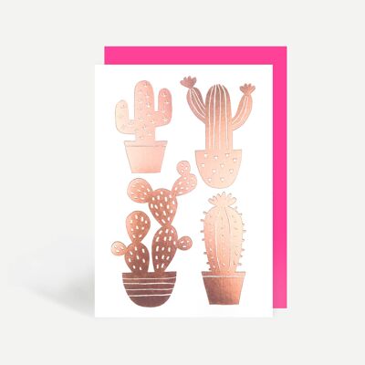 Cactus Birthday Greetings Card