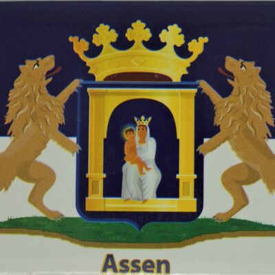 Kühlschrankmagnet Fahne mit Wappen Assen