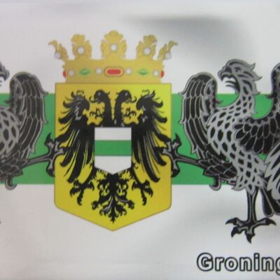 Imán de nevera Escudos de armas Groningen