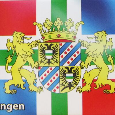 Fridge Magnet Flag Groningen