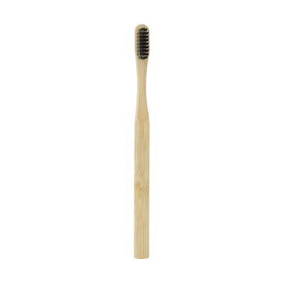 Set of 3 toothbrushes