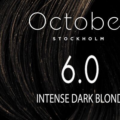 6.0 Intense Natural Dark Blond   ( size : 20.vol (Permanent hårfärg & Gråhårstäckning))