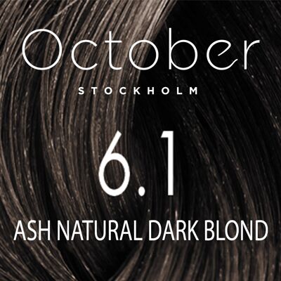 6.1 Ash Natural Dark Blond   ( size : 20.vol (Permanent hårfärg & Gråhårstäckning))