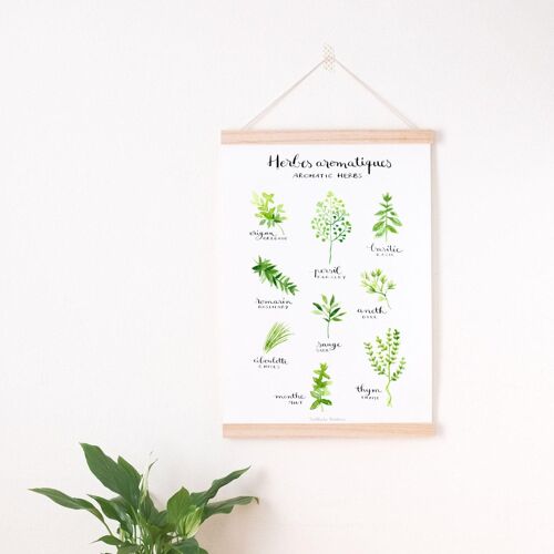 Kitchen Print - Aromatic Herbs