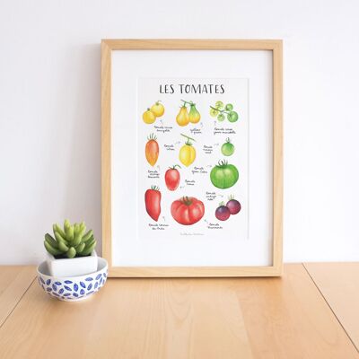 Kitchen Print - Tomatoes