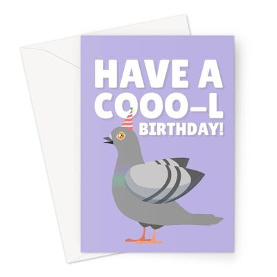 Have A Cooo-l Birthday Funny Pigeon Cool Animal