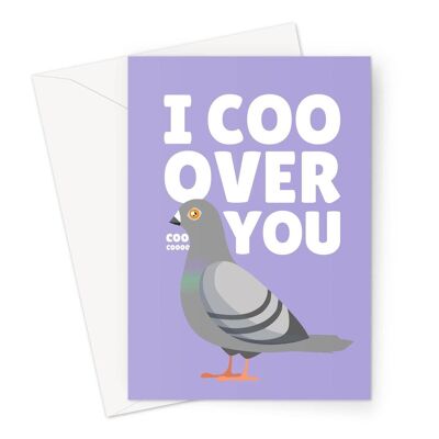I Coo Over You Cute Pigeon Birthday Anniversary Pun Animals