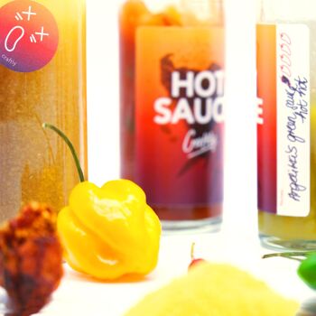 Do Your Hot Sauce l Kit de bricolage pour adultes I Kit de préparation de sauce piquante l Coffret cadeau cool pour anniversaire, anniversaire, fête des pères - Set gourmand - Épicé - Piment - 14