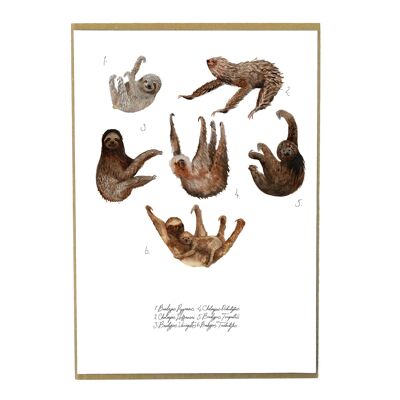 Sleuth of Sloths Art Print