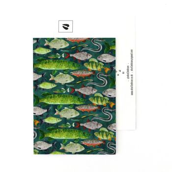 Poisson d'eau douce Flumens Carte postale 1