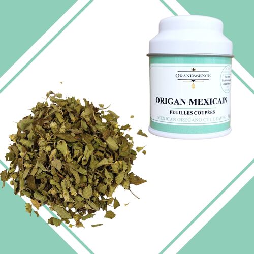 MEXICAN OREGANO