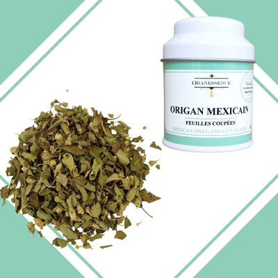 Origan Mexicain