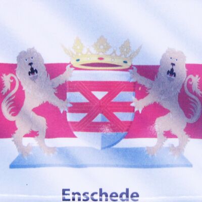 Imán de Nevera Bandera con Escudos Enschede