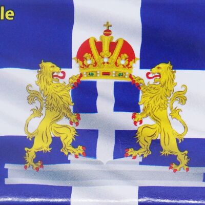 Kühlschrankmagnet Flagge mit Wappen Zwolle