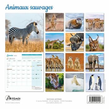Calendrier 2023 Animaux sauvages  (ls) 2