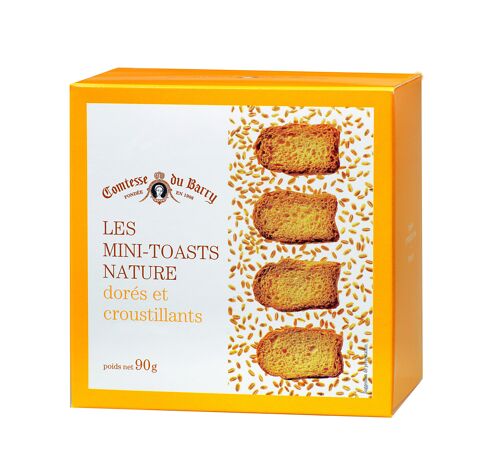 Toast nature 90g