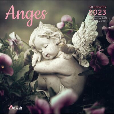 Calendar 2023 Angel -spirituality (ls)