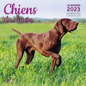 Calendrier 2023 Chien de chasse  (ls)