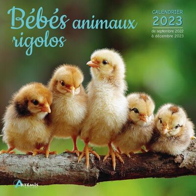 Calendario 2023 Animales bebés divertidos (ls)
