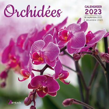 Calendrier 2023 Orchidée (ls) 1