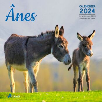 Calendrier 2024 Ane (ls) 1