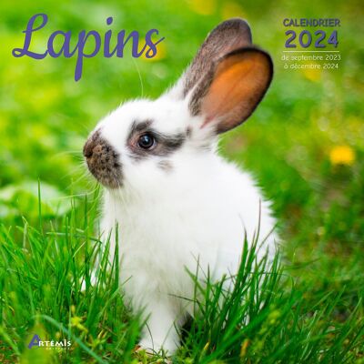 Calendrier 2024 Lapin  (ls)