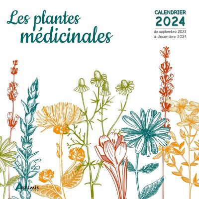 2024 Calendar Herbarium of healing plants (ls)