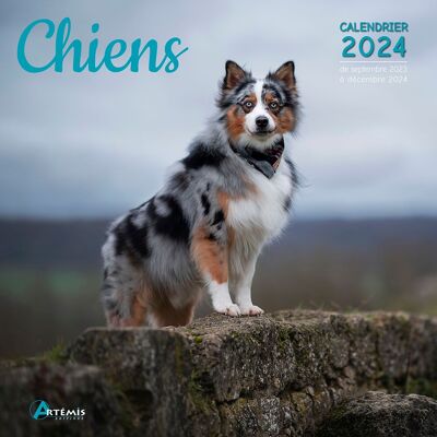 2024 Dog Calendar (ls)