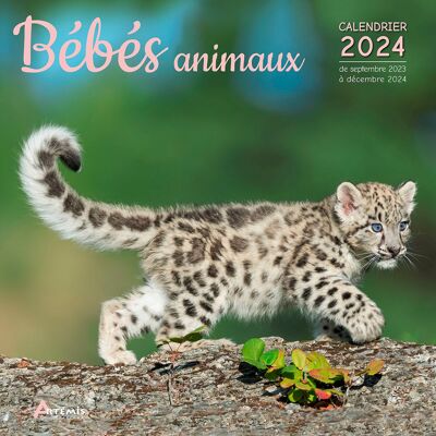 Calendrier 2024 Bébé animaux (ls)