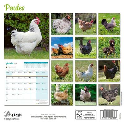 Calendario de gallinas 2024