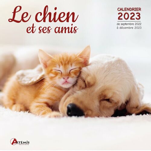 Calendrier 2023 Chien et ses amis (ls)