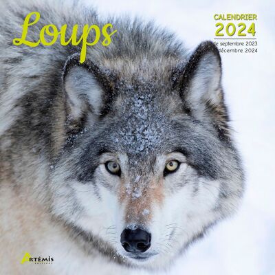 2024 Wolf Calendar (ls)