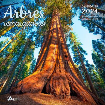 Calendar 2024 Remarkable tree (ls)