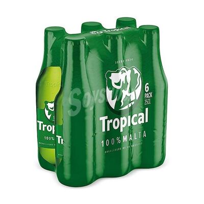 Packung mit 6 Cervezas Tropical Pilsen - Compañía Cervecera de Canarias 25cl