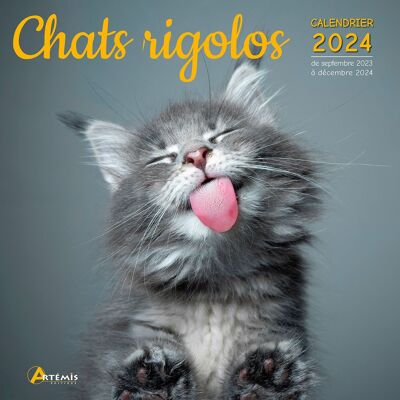 Calendario 2024 Gatto Divertente (ls)