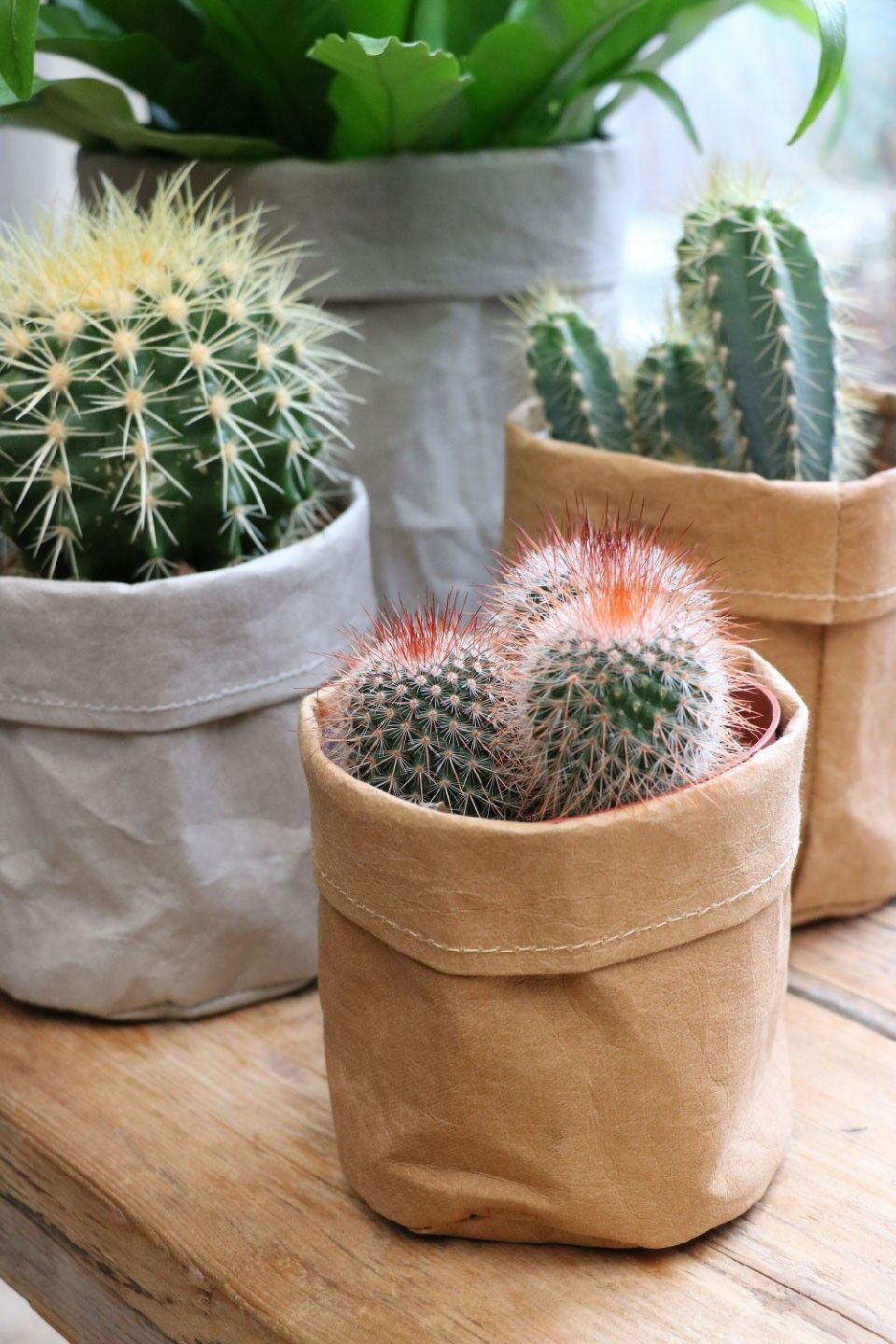 SIZO Sacco di Carta Lavabile Naturale con fodera impermeabile biodegradabile Naturale 20 x 20 cm