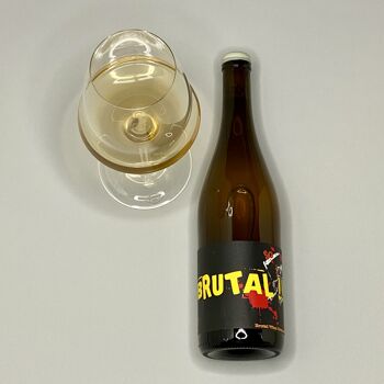 VEGA AIXALÀ - Brutal Blanca 2022 - Vin naturel - Vin blanc - Espagne - Catalogne 1