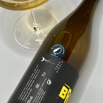 VEGA AIXALÀ - Brutal Blanca 2022 - Vin naturel - Vin blanc - Espagne - Catalogne 2