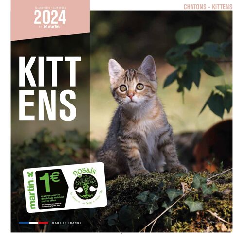 Calendrier 2024 Chatons (ms)