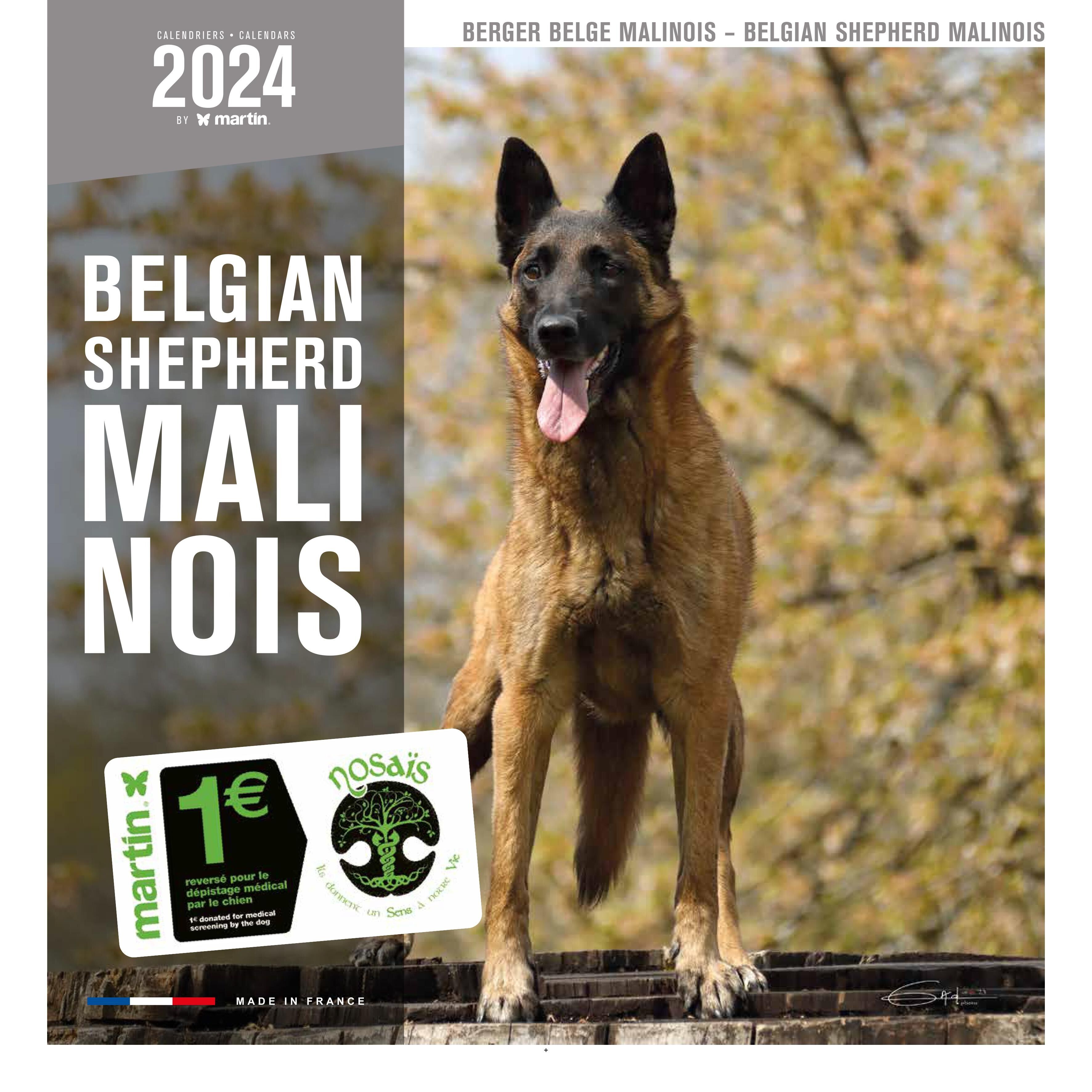 Calendario 2024 Pastore Belga Malinois (ms)