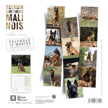 Calendrier 2024 Berger Belge Malinois (ms) 2