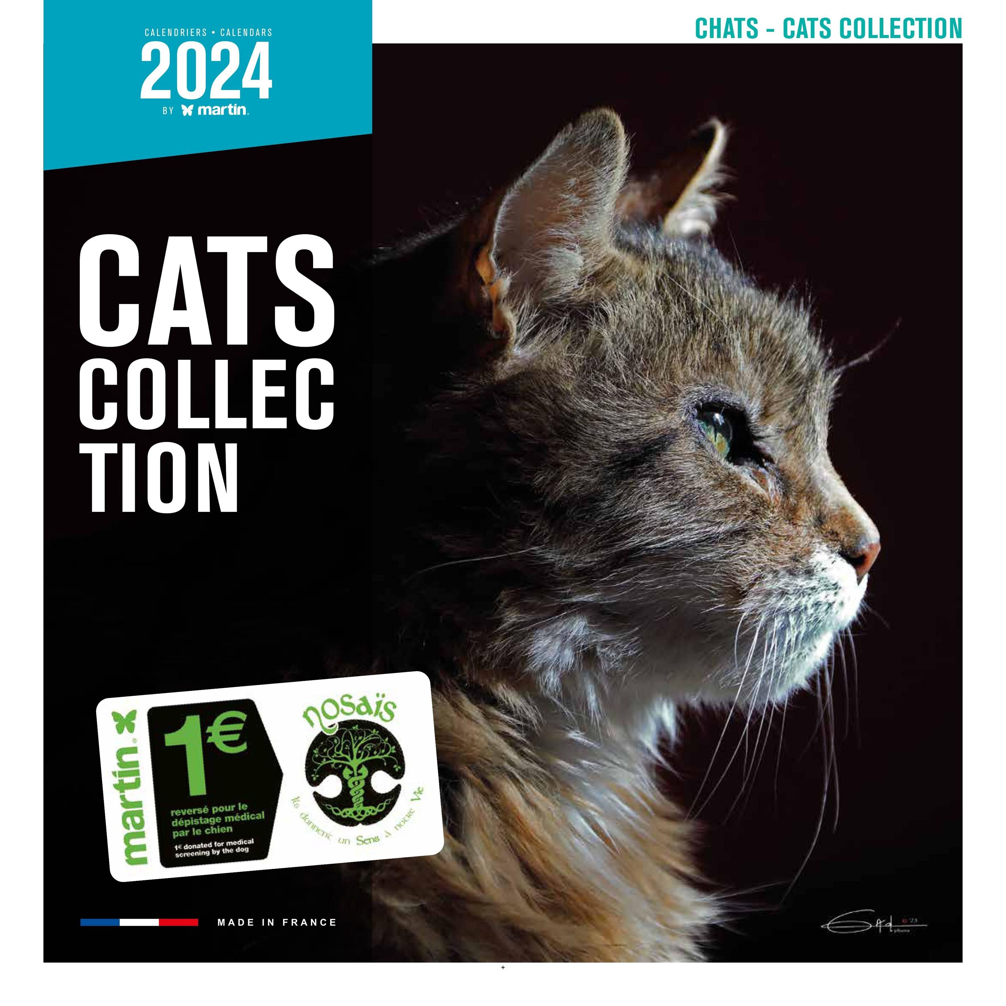Achat Calendrier 2024 Chats (ms) en gros