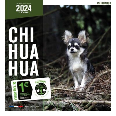 2024 Chihuahua Calendar (ms)