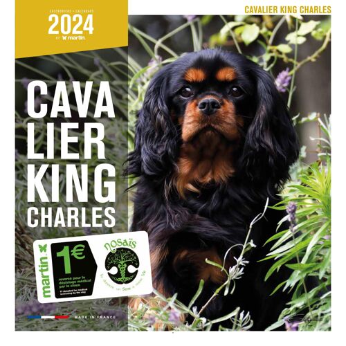 Calendrier 2024 Cavalier king charles (ms)