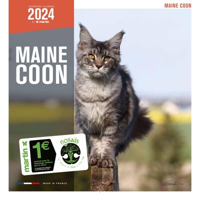 Calendrier 2024 Maine coon (ms)