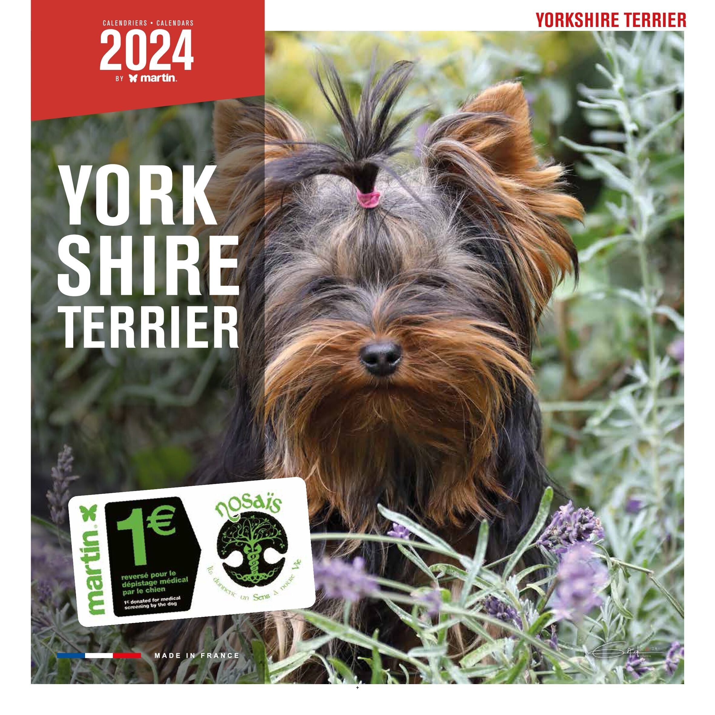 Calendario 2024 dello Yorkshire Terrier (ms)