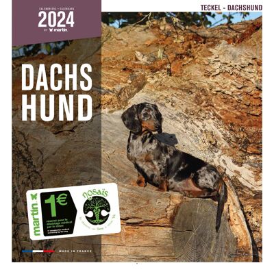 2024 Dachshund Calendar (ms)